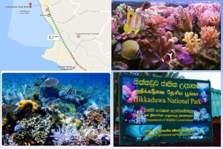 Lucky Seven Beach Resort Hikkaduwa Luaran gambar
